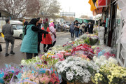 گزارش تصویری | بزرگ‌ترین و معروف‌ترین بازار گل و گیاه تهران