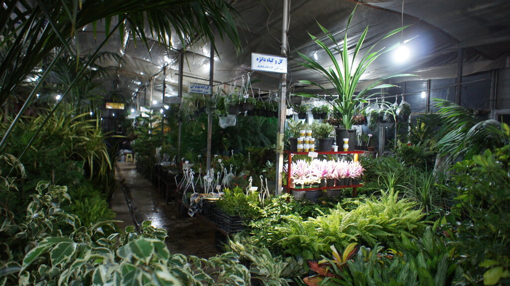 گردشگری از مولوی تا برج میلاد با مترو