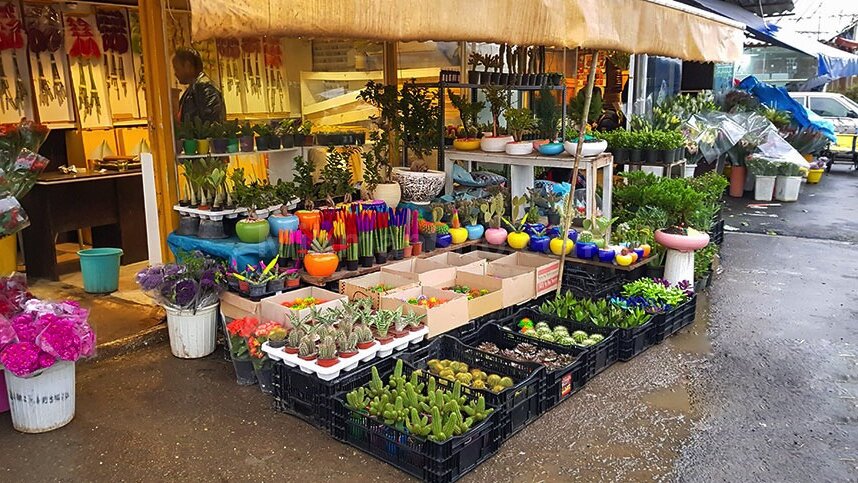 معرفی ۹ بازار گل در تهران | این روستای ناشناخته پایتخت گل و گیاه کشور است | بهترین جا برای خرید گل مصنوعی در تهران