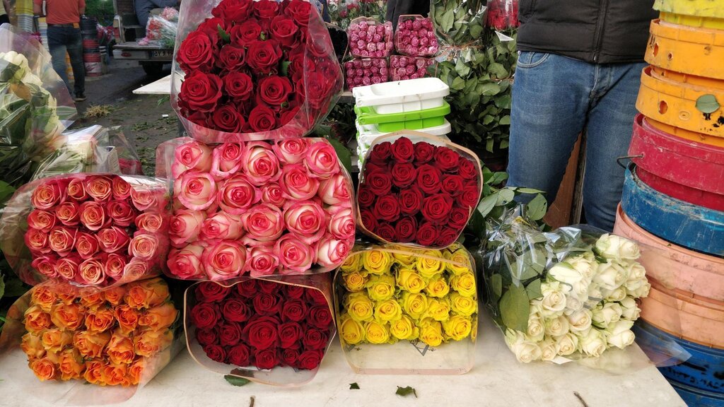معرفی ۹ بازار گل در تهران | این روستای ناشناخته پایتخت گل و گیاه کشور است | بهترین جا برای خرید گل مصنوعی در تهران