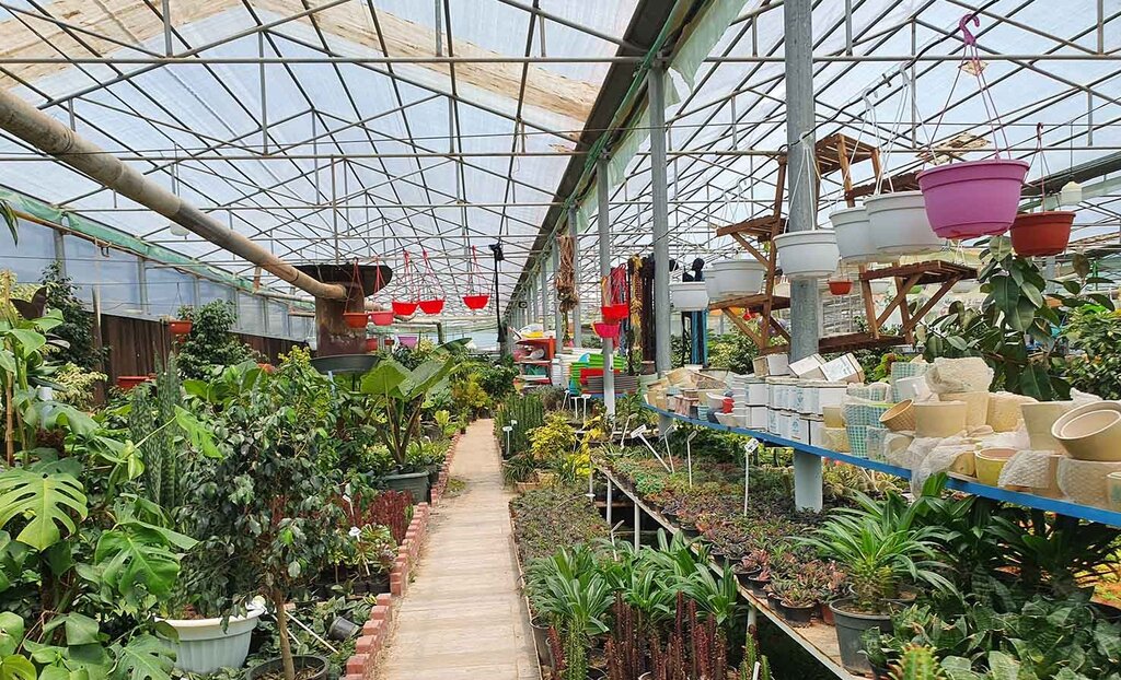 معرفی ۹ بازار گل در تهران | این روستای ناشناخته پایتخت گل و گیاه کشور است | بهترین جا برای خرید گل مصنوعی در تهران