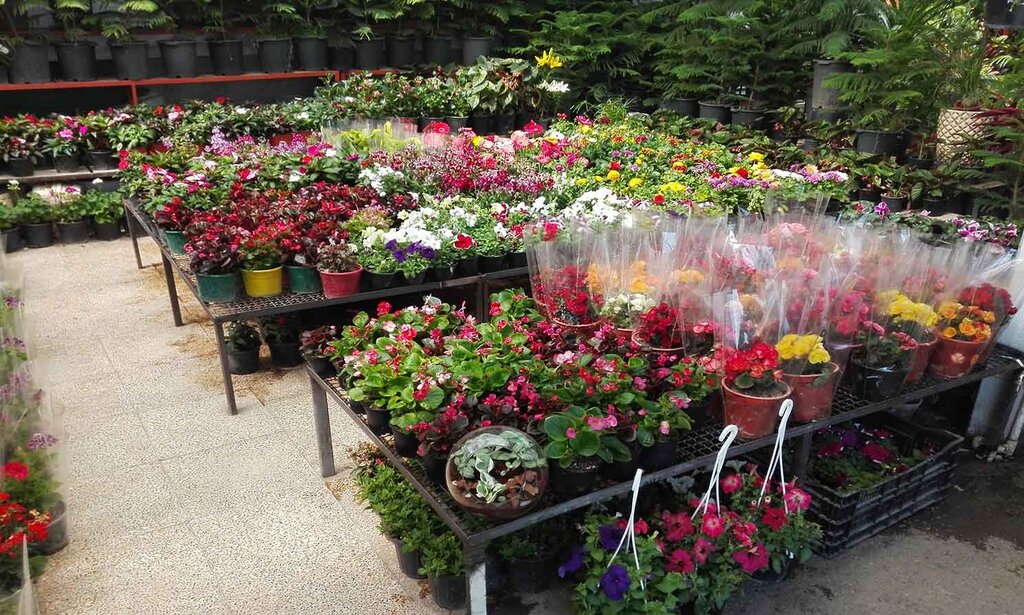 معرفی ۹ بازار گل در تهران | این روستای ناشناخته پایتخت گل و گیاه کشور است | بهترین جا برای خرید گل مصنوعی در تهران
