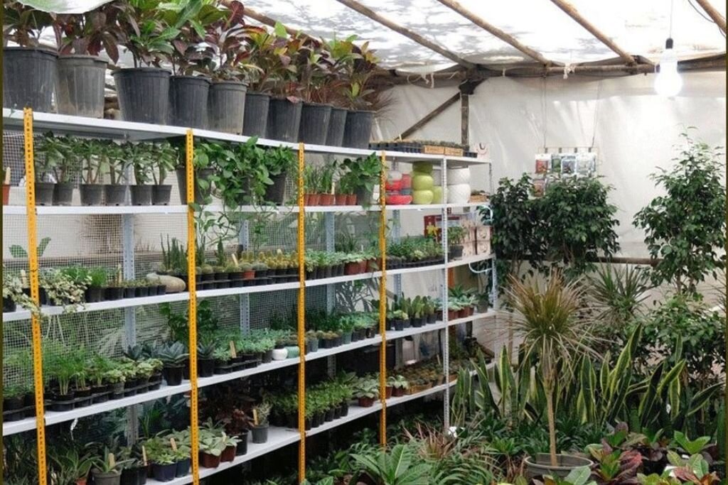 معرفی ۹ بازار گل در تهران | این روستای ناشناخته پایتخت گل و گیاه کشور است | بهترین جا برای خرید گل مصنوعی در تهران