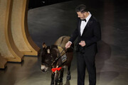 ببینید | حضور متفاوت مجری اسکار روی صحنه | کمدین آمریکایی با یک حیوان روی صحنه آمد!