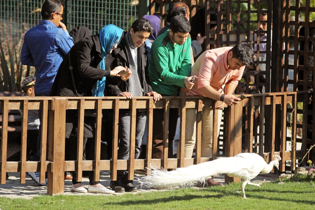 باغ پرندگان