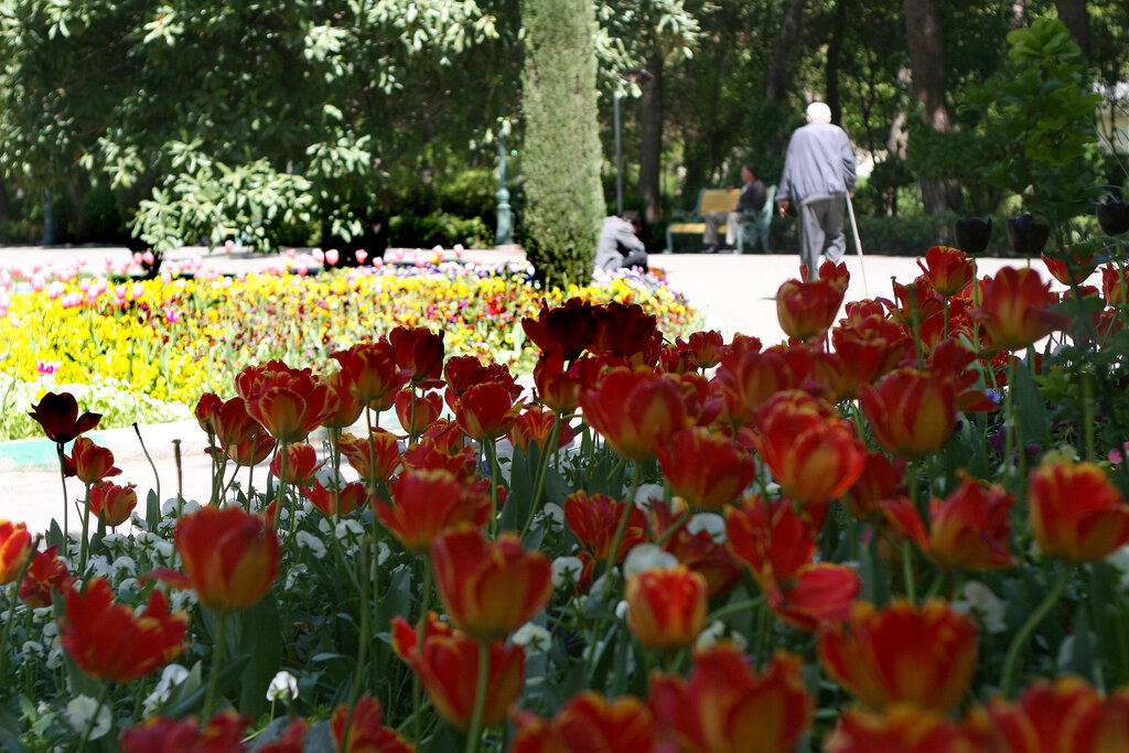 گردشگری | جلوه نوروزی نگین زمردی پایتخت بینظیر است + فیلم