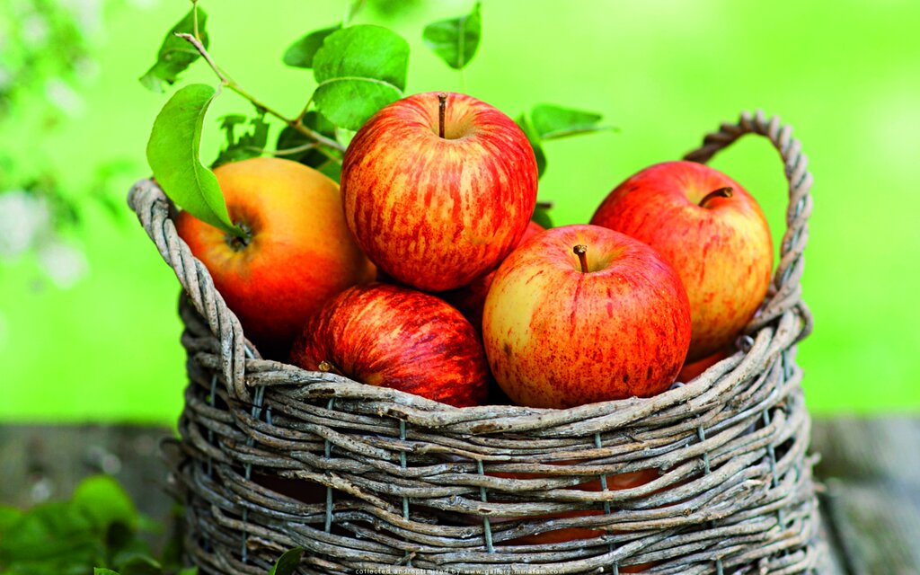 درمان های خانگی برای کاهش چربی خون