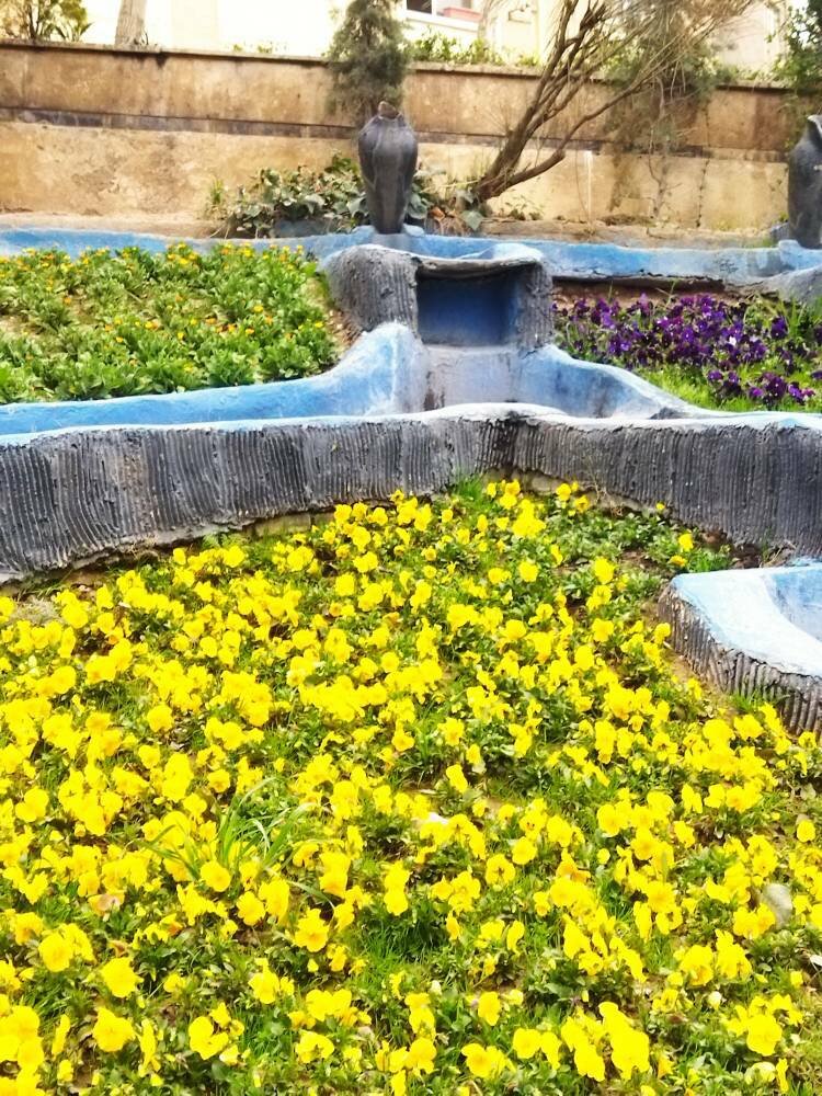 عکس | این تصاویر زیبا میگوید قلب پایتخت زودتر به استقبال نوروز رفته است