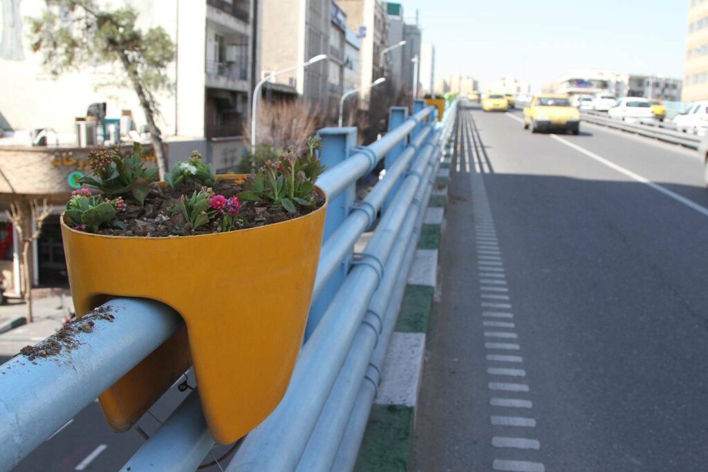 عکس | این تصاویر زیبا میگوید قلب پایتخت زودتر به استقبال نوروز رفته است