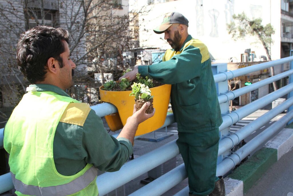 عکس | این تصاویر زیبا میگوید قلب پایتخت زودتر به استقبال نوروز رفته است