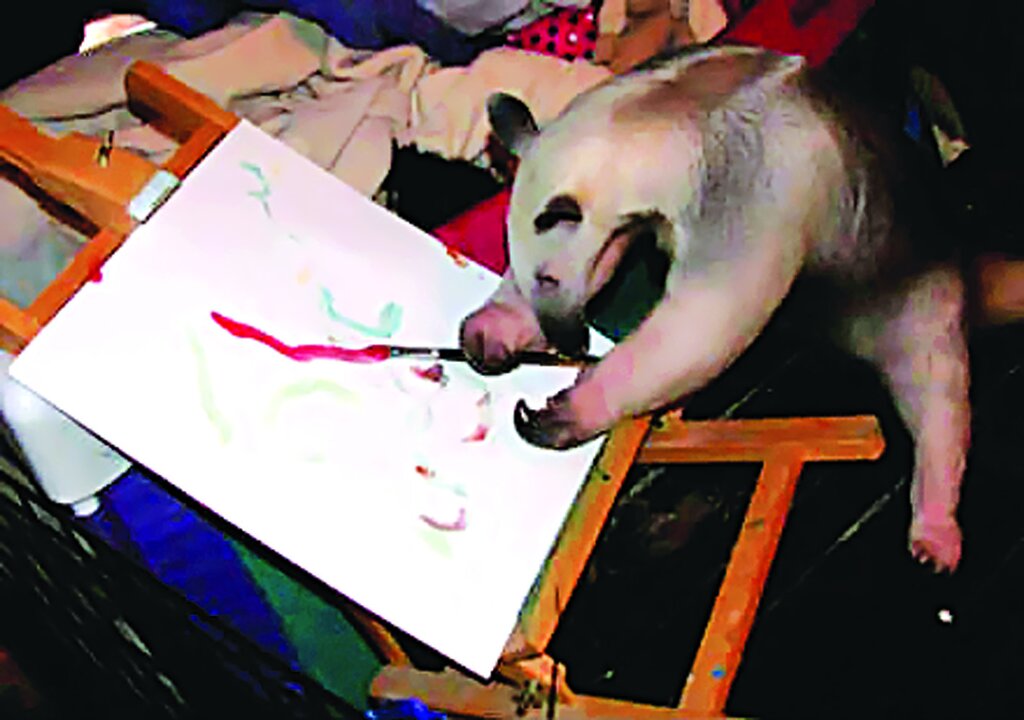 تصاویر | زندگی با عجیبترین حیوانات خانگی ؛ از مورچهخوار گرفته تا خیابان گردی با تمساح و بغل کردن ببر خانگی