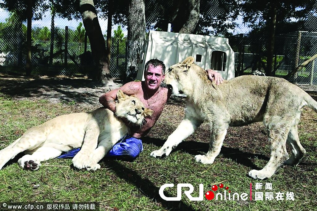 تصاویر | زندگی با عجیبترین حیوانات خانگی ؛ از مورچهخوار گرفته تا خیابان گردی با تمساح و بغل کردن ببر خانگی