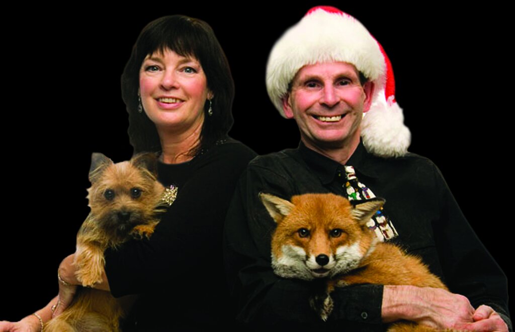 تصاویر | زندگی با عجیبترین حیوانات خانگی ؛ از مورچهخوار گرفته تا خیابان گردی با تمساح و بغل کردن ببر خانگی