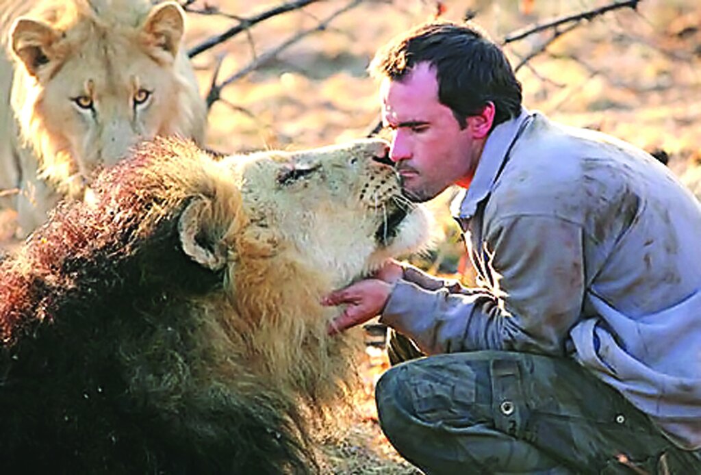 تصاویر | زندگی با عجیبترین حیوانات خانگی ؛ از مورچهخوار گرفته تا خیابان گردی با تمساح و بغل کردن ببر خانگی
