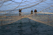 تصاویر | بزرگترین قفس متحرک دریایی کشور برای پرورش ماهی در سواحل خزر