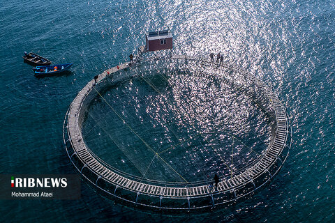 بزرگترین قفس پرورش ماهی ایران در سواحل خزر
