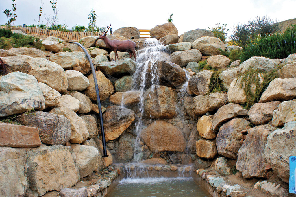 ۱۳ پیشنهاد برای تهرانگردی که باعث سلامتیتان میشود