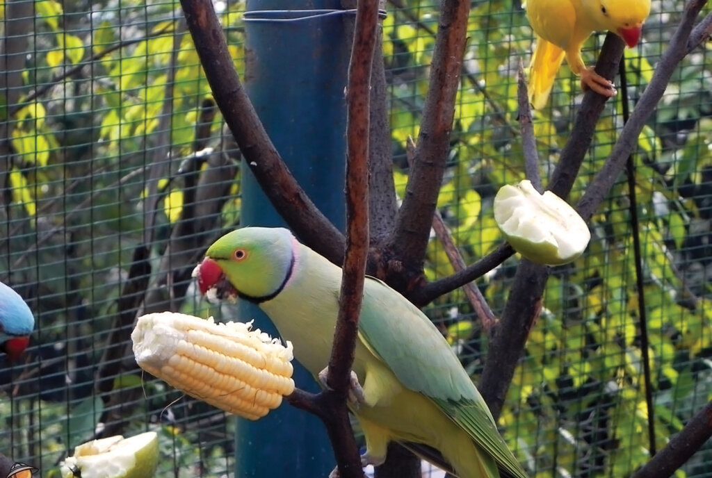 ۱۳ پیشنهاد برای تهرانگردی که باعث سلامتیتان میشود