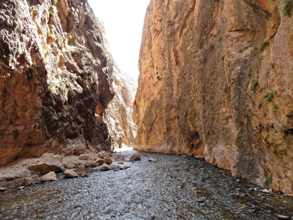 ۱۳ پیشنهاد برای تهرانگردی که باعث سلامتیتان میشود