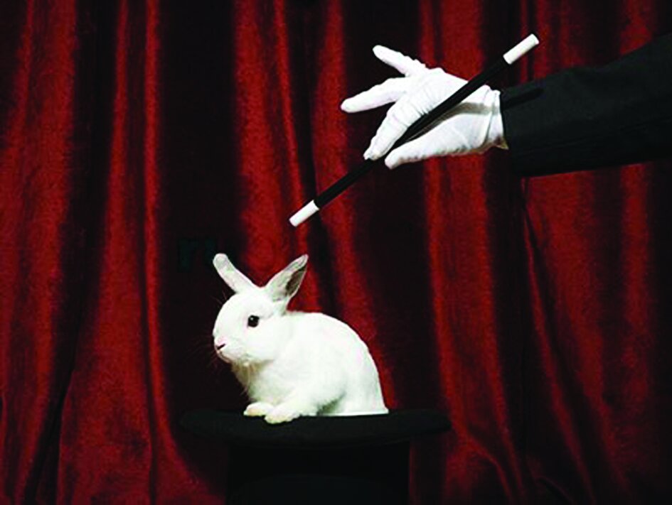 تصاویر | زیباترین خرگوشهای جهان را ببینید