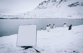 اینترنت ماهواره‌ای به قطب جنوب هم رسید! | همه جای جهان تحت پوشش است
