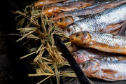 تصاویر دودخانه‌ای که طعم ماهی دودی‌اش را چشیده‌اید | دودی کردن ماهی به روش سنتی را ببینید