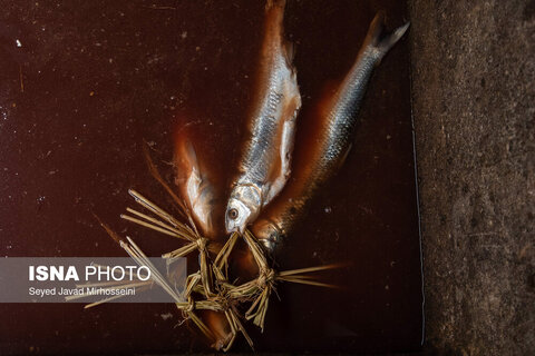 دودی کردن ماهی به روش سنتی