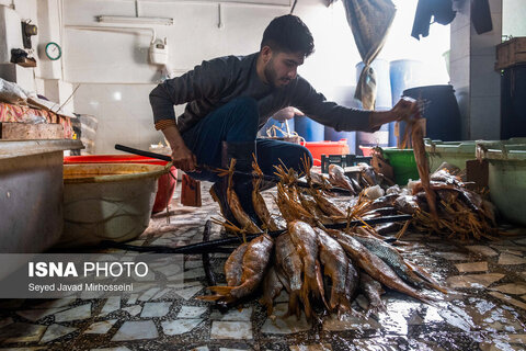 دودی کردن ماهی به روش سنتی