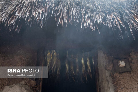 دودی کردن ماهی به روش سنتی