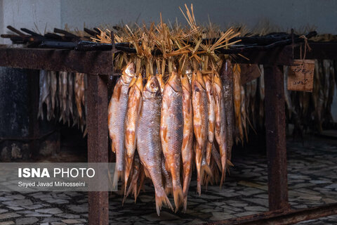 دودی کردن ماهی به روش سنتی