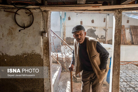 دودی کردن ماهی به روش سنتی