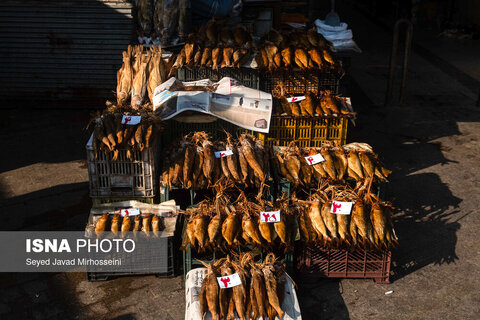 دودی کردن ماهی به روش سنتی