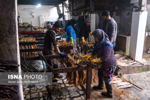 دودی کردن ماهی به روش سنتی