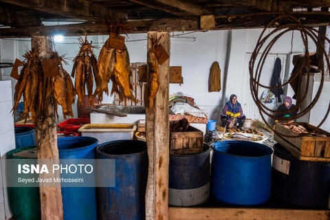 دودی کردن ماهی به روش سنتی