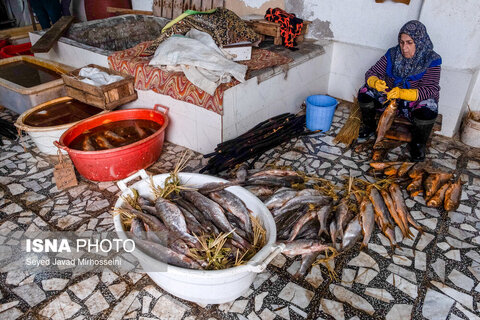 دودی کردن ماهی به روش سنتی