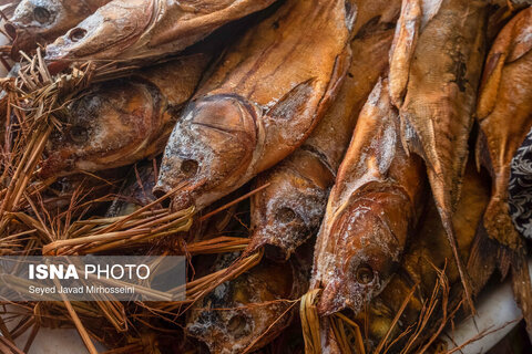 دودی کردن ماهی به روش سنتی