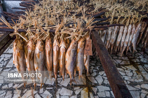دودی کردن ماهی به روش سنتی