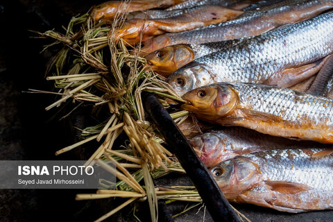 دودی کردن ماهی به روش سنتی