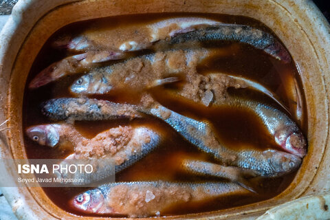 دودی کردن ماهی به روش سنتی