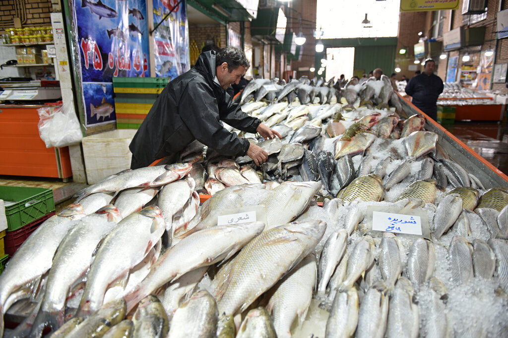 گشتی در بزرگترین بازار ماهیفروشان تهران | از فروش ماهی با گارانتی تا ترفند پیشگیری از تقلب و کلاهبرداری