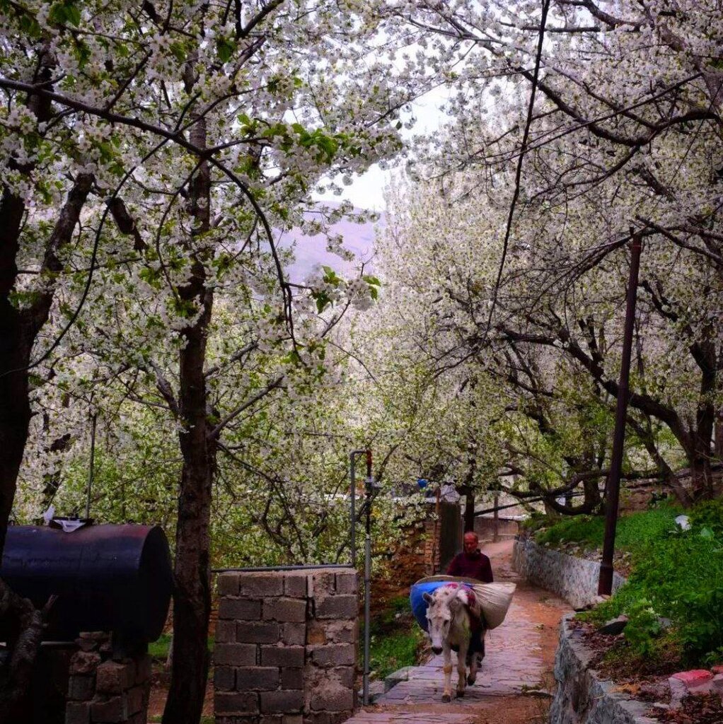 گردشگری | دیدنیترین مناظر طبیعی در روستاهای غرب تهران