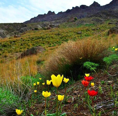 گردشگری | دیدنیترین مناظر طبیعی در روستاهای غرب تهران