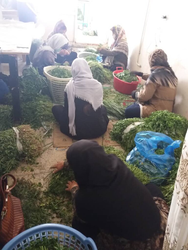 از آلمان تا شهرری، همراه دغدغههای بانوی ۷۰ساله کارآفرین