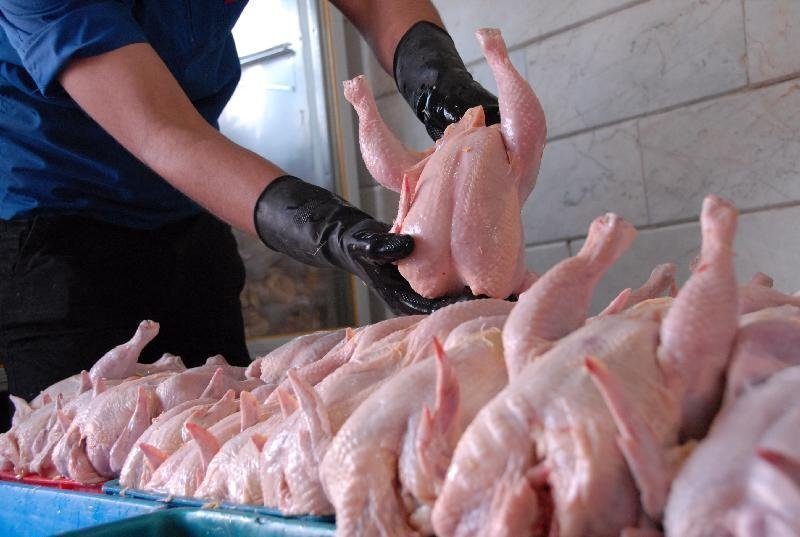 قیمت فروش مرغ در اولین روز ماه رمضان | هر کیلو مرغ چند شد؟
