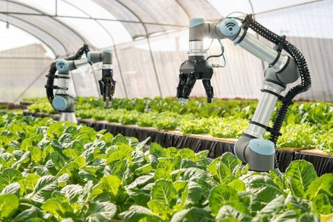 ربات های هوشمند مزرعه در کره جنوبی!