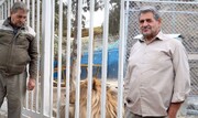جزئیات حمله ۲ خرس به نگهبان باغ وحش اصفهان | مرد مهربان خرس‌ها را از توله‌گی بزرگ کرده بود