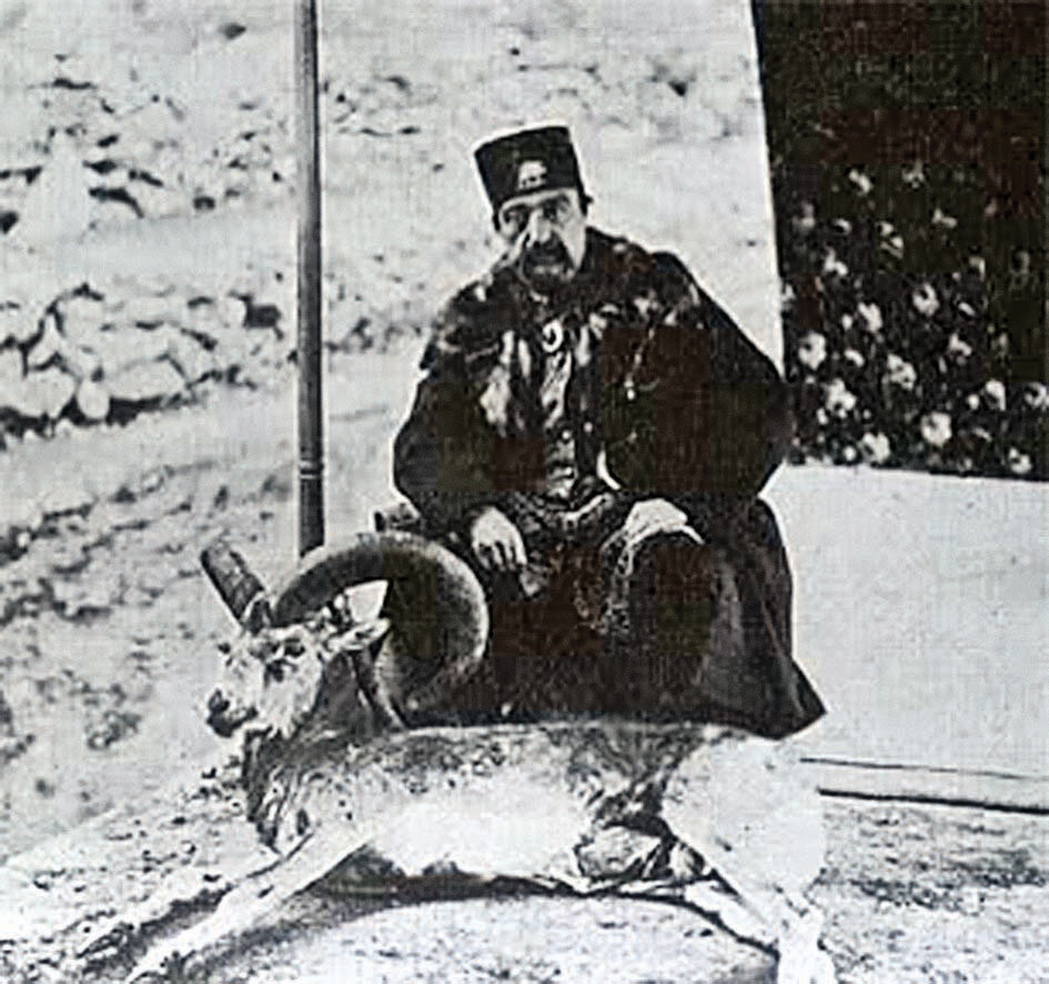 ناگفتههایی از نخستین باغ وحش ایران ؛ در «مجمعالوحوش ناصری» چه حیواناتی نگهداری میشدند؟ | دلیل تنبیه شیربان توسط ناصرالدین شاه چه بود؟