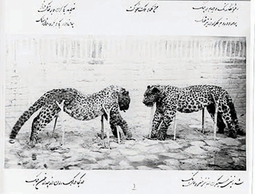 نخستین باغ‌وحش ایران