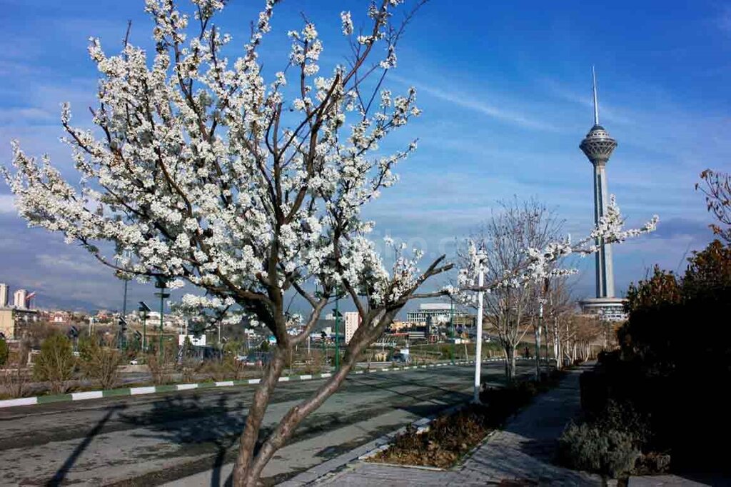 بهار - شهر تهران - آسمان صاف