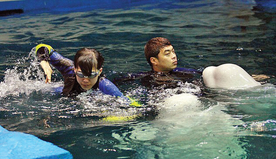 ملاقات با غول خوشقلب دریاها